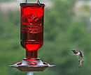 Elixir Hummingbird Feeder